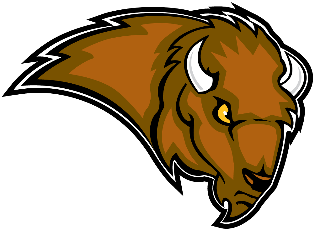 Lipscomb Bisons 2002-2011 Secondary Logo iron on paper